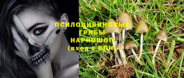 первитин Богданович