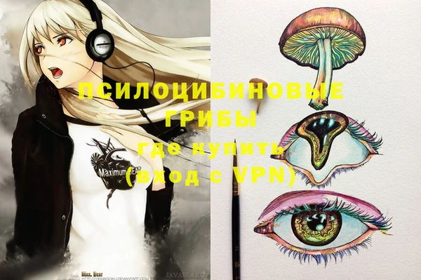 mix Богородицк