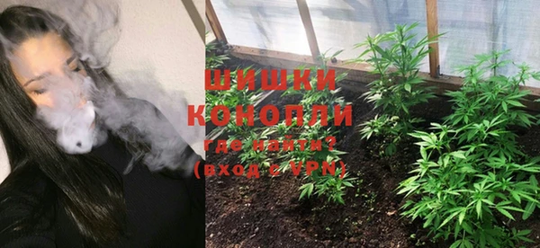 mix Богородицк