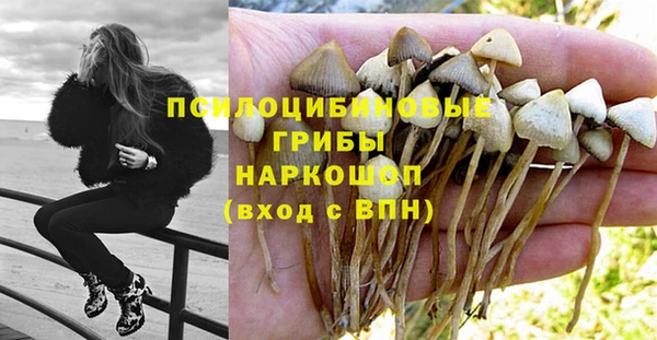 первитин Богданович