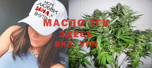 молекула духа Верхний Тагил
