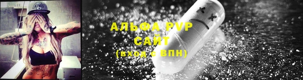 первитин Богданович