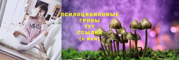 spice Балахна