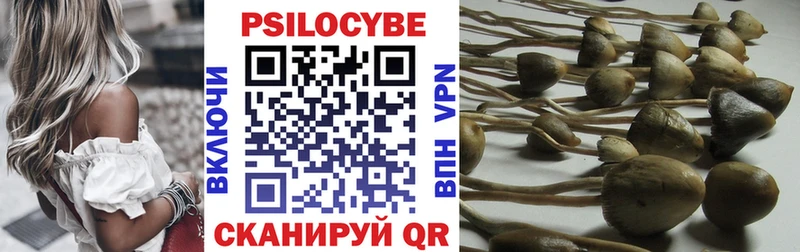 Галлюциногенные грибы прущие грибы  Северо-Курильск 