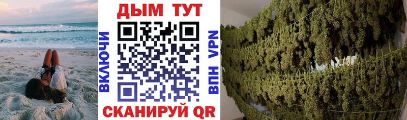 купить наркотики сайты  Северо-Курильск  Бошки марихуана ГИДРОПОН 